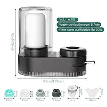 Dual-Spout Kitchen Sink Water Filter