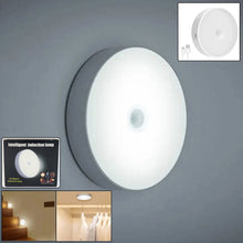 Rechargeable Motion Sensor Night Light (1 Pc)