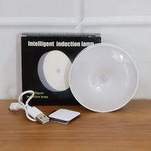Rechargeable Motion Sensor Night Light (1 Pc)