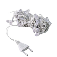 Net Style Multi-Color LED Fairy Lights